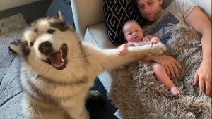 Dad Takes Over Parenting Day 1 (Pets Get Jealous!!)
